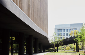 京云柚子 — 智慧园区