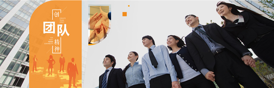 公司团队